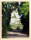 Une allée verte